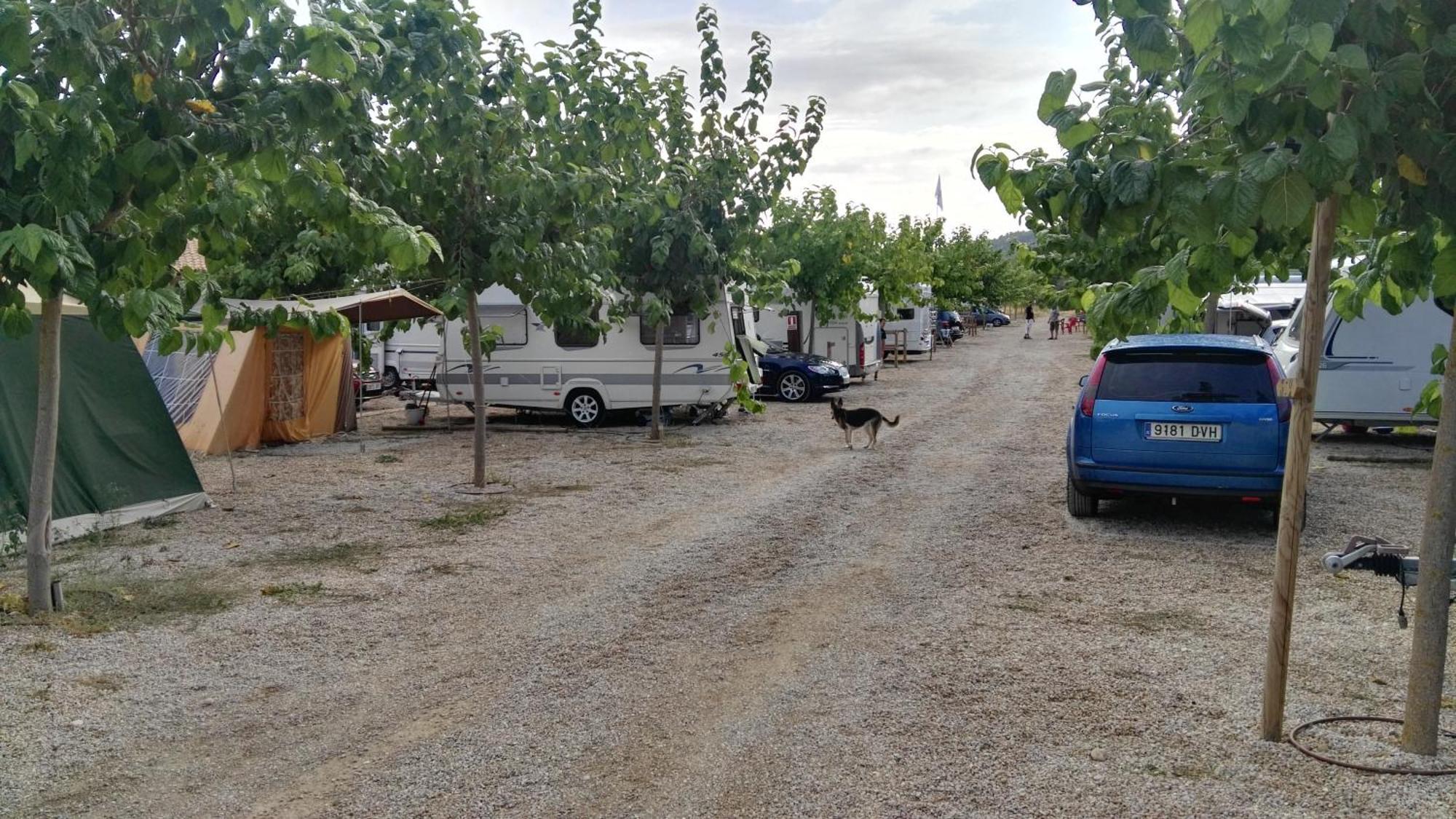 Camping El Roble Valderrobres Oda fotoğraf
