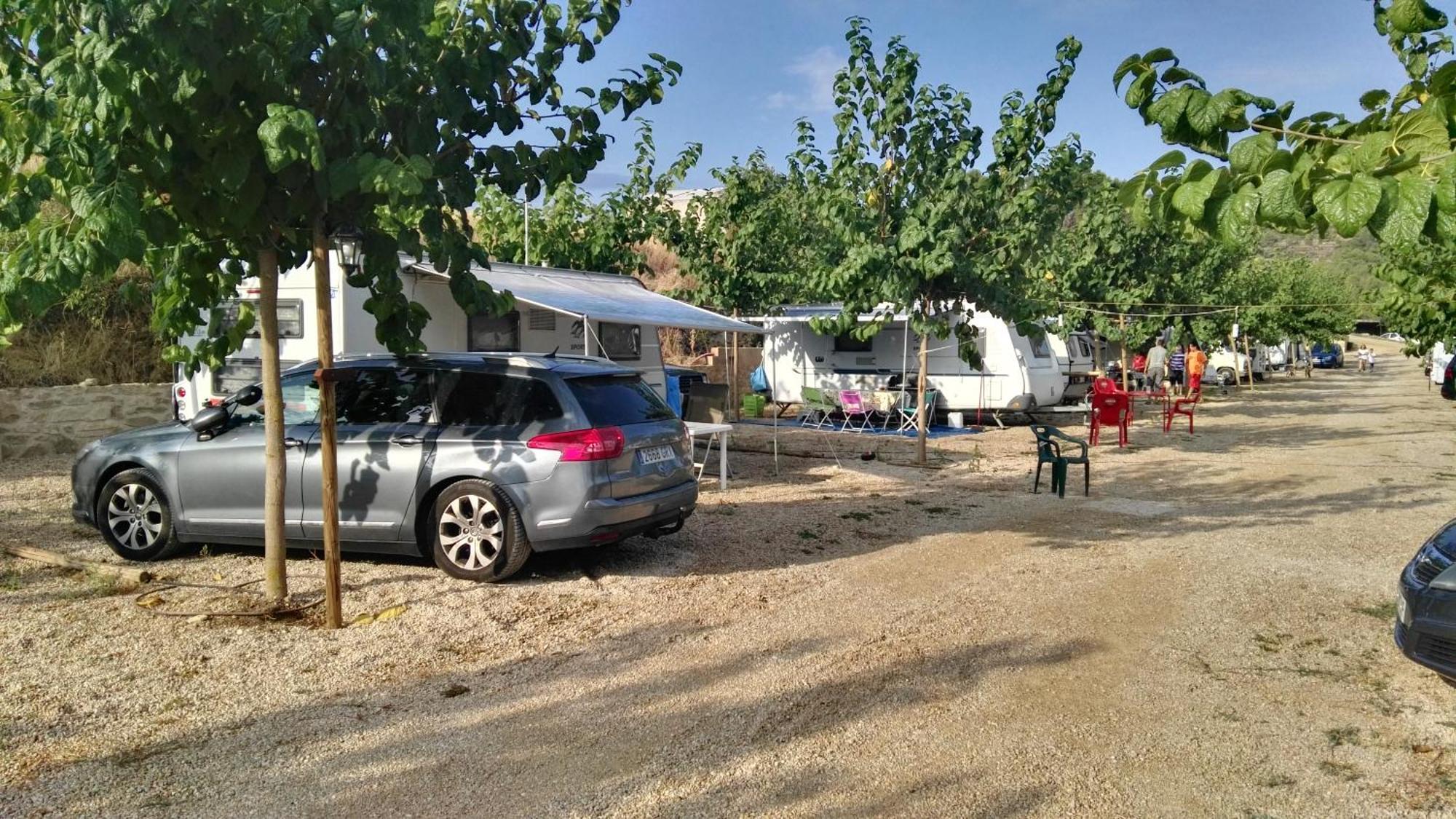 Camping El Roble Valderrobres Oda fotoğraf